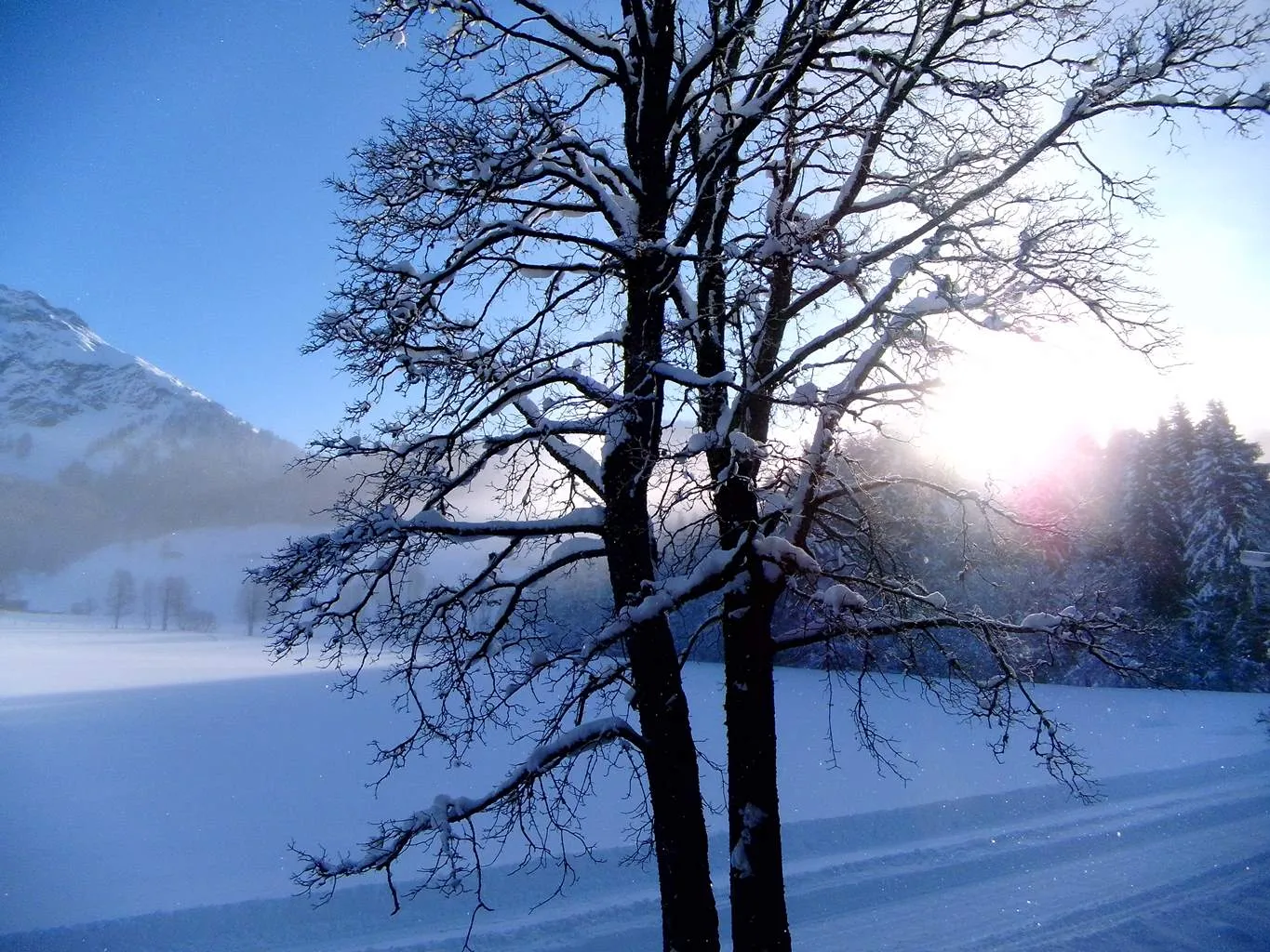 Winterlandschaft